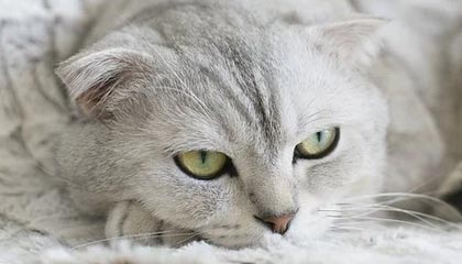 开云体育App：让热爱变成日常的全新体育生活