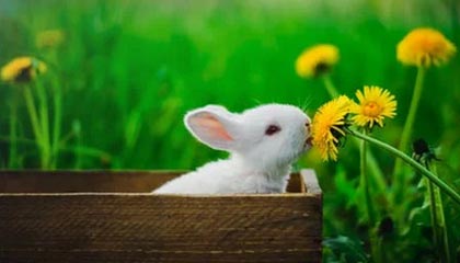 开云体育APP-中超浙江队新帅阿洛伊西：球队将以崭新面貌迎接新赛季